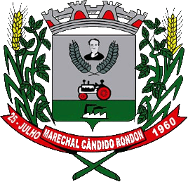 Brasão do município